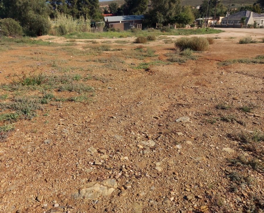 0 Bedroom Property for Sale in Uniondale Western Cape